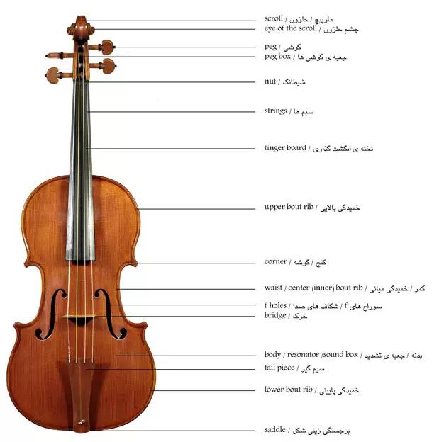دوره ویولون از پایه تا حرفه ای